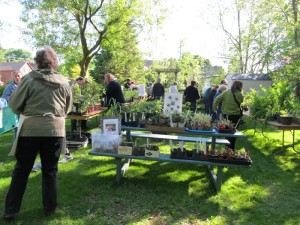 plant_sale_may_2015_photo2