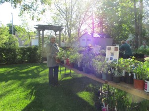 plant_sale_may_2015_photo4